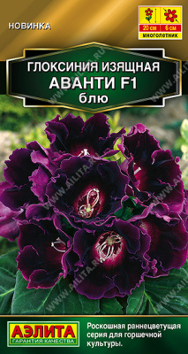 Глоксиния Аванти блю 5шт
