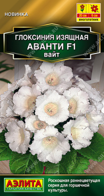 Глоксиния Аванти вайт 5шт