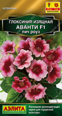 Глоксиния Аванти пич роуз 5шт