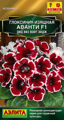 Глоксиния Аванти ред виз вайт эйдж 5шт