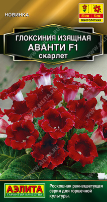 Глоксиния Аванти скарлет 5шт