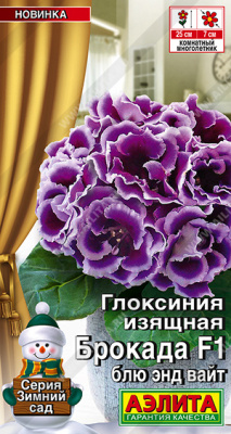 Глоксиния Брокада блю энд вайт 5шт