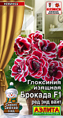 Глоксиния Брокада ред энд вайт 5шт