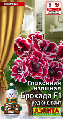 Глоксиния Брокада ред энд вайт 5шт