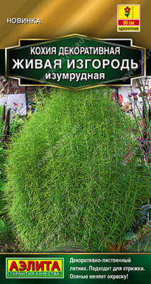 Кохия Живая изгородь изумрудная 0,1г