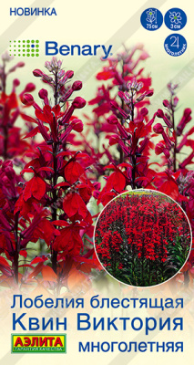 Лобелия Квин Виктория многолетняя 5шт