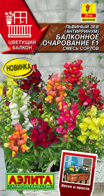 Львиный зев Балконное очарование 7шт
