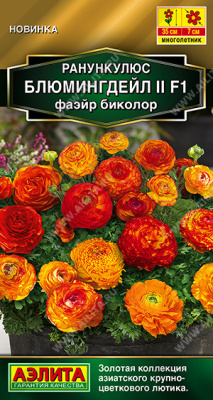 Ранункулюс Блюмингдейл фаэйр биколор 3шт
