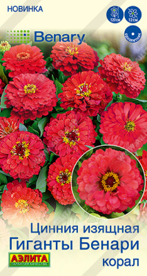 Цинния Гиганты Бенари корал 7шт