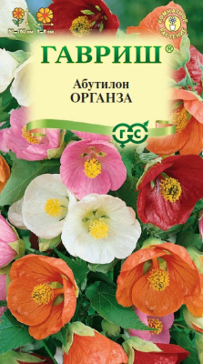 Абутилон Органза 7шт