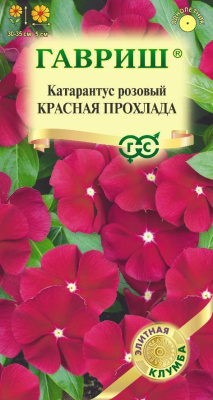 Катарантус Красная Прохлада 5шт