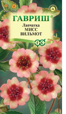 Лапчатка Мисс Вильмот 0,01г