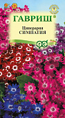 Цинерария Симпатия 8шт