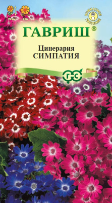 Цинерария Симпатия 8шт