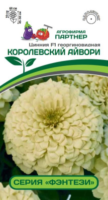 Цинния Королевский айвори 4шт