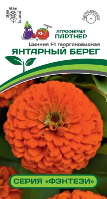 Цинния Янтарный берег 4шт