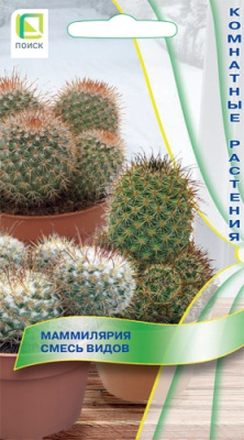 Маммилярия Смесь видов 10шт Маммилярия Смесь видов 10шт