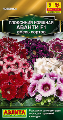 Глоксиния Аванти смесь 5шт