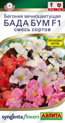 Бегония Бада бум смесь 5шт