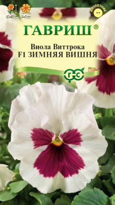 цВиола Зимняя вишня 5шт