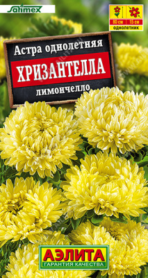 Астра Хризантелла Лимончелло 15шт