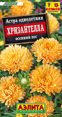 Астра Хризантелла осенний лес 15шт