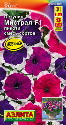 Петуния Мистрал пикоти 7шт