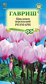 Цикламен Розмари 3шт