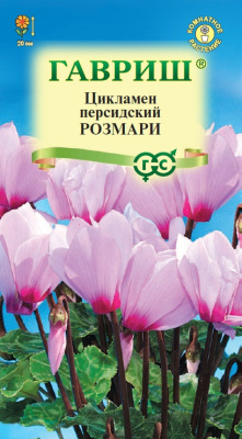 Цикламен Розмари 3шт