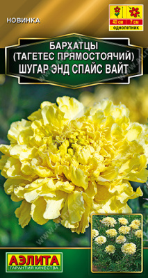 Бархатцы Шугар энд спайс вайт прям.10шт