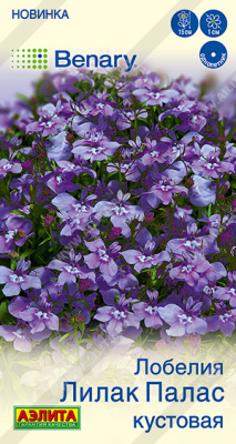 Лобелия Лилак палас кустовая 5шт