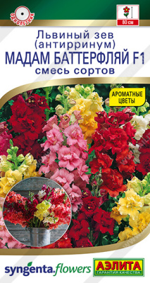 Львиный зев Мадам баттерфляй 7шт