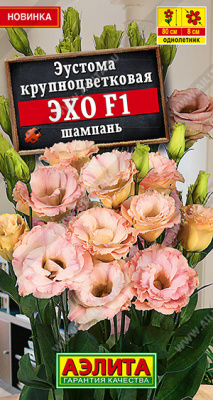 Эустома Эхо шампань 5шт
