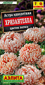 Астра Хризантелла цветок лотоса 15шт