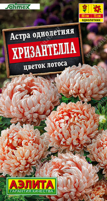 Астра Хризантелла Цветок лотоса 15шт