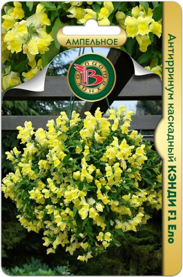 Антирринум Кэнди Ело 15шт