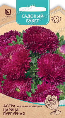 Астра Царица Пурпурная хризантемовидная 0,1г (Садовый букет)