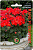 Пеларгония Нано Скарлет карликовая 5шт