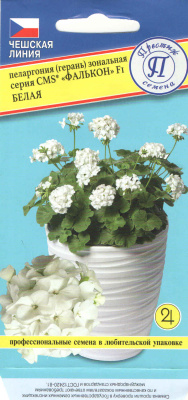 Пеларгония Фалькон белая 3шт