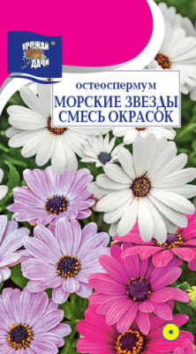 Остеоспермум Морские звезды 0,1г