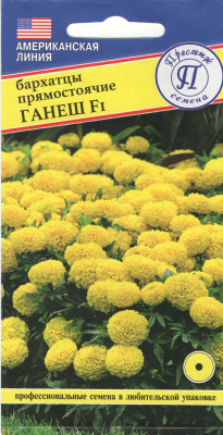 Бархатцы Ганнеш 5шт