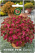 Колеус Мулен Руж Сатин 10шт