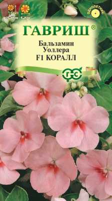 Бальзамин Коралл (Уоллера) 4шт