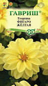 Георгина Фигаро желтая 7шт