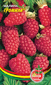 Малина Громила 10 шт.
