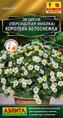 Экзакум Королева белоснежка 4шт