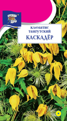 Клематис Каскадёр тангусский 0,02г