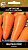 Морковь Шантенэ Роял 2г