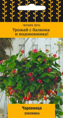 Земляника Чаровницаа 5шт Четыре лета
