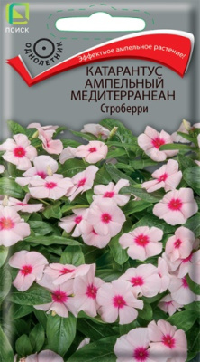 Катарантус Медитерранеан Строберри амп. 10шт